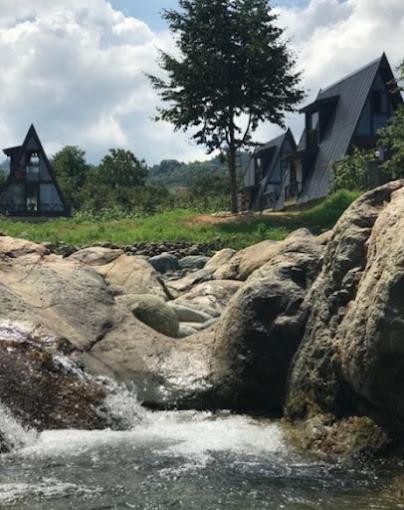 Yesil Dues Tatil Koeyue Findikli (Black Sea) Dış mekan fotoğraf