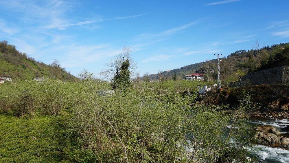 Yesil Dues Tatil Koeyue Findikli (Black Sea) Dış mekan fotoğraf